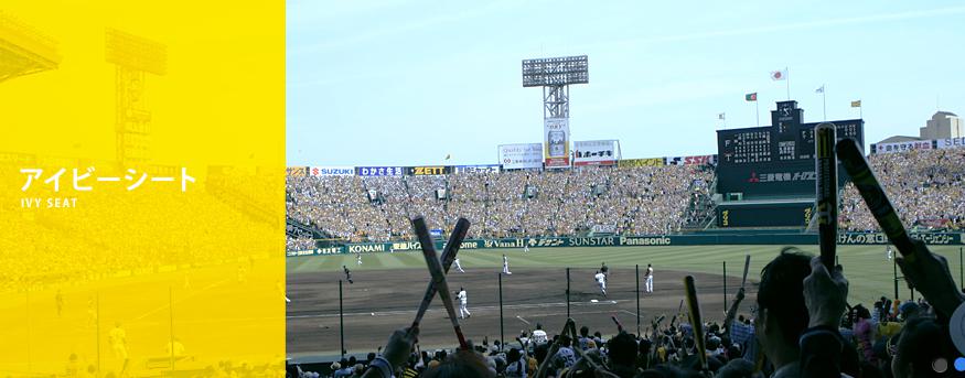 阪神タイガース - 6月18日(土)阪神甲子園球場阪神VSDeNA 1塁アイビー